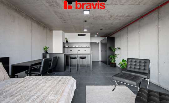 Rent 1+kk, Královopolská, Brno: All-in equipment, wifi, garage, gym