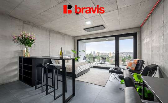 Rent 1+kk, Královopolská, Brno: All-in equipment, wifi, garage, gym