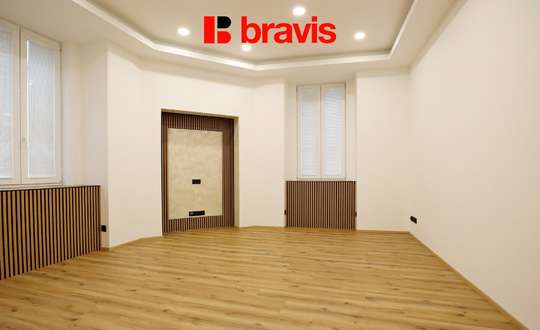 Pronájem bytu/atelieru 1+1, ulice Husovická, Brno - Husovice, po rekonstrukci, sklep