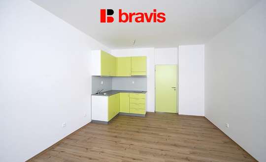 Pronájem velmi pěkného atelieru 1+kk, Brno - Staré Brno, ul. Rybářská, nezařízený