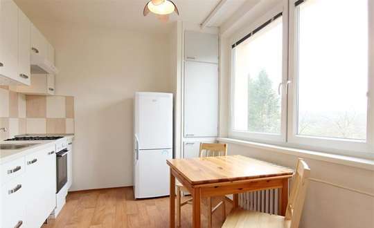 Rent flats 1+1 30 m², Brno