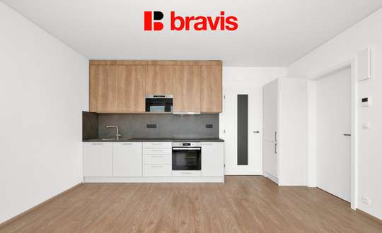 Pronájem bytu 3+kk, Palác Trnitá, balkon, sklep, garážové stání, naproti OC Vaňkovka