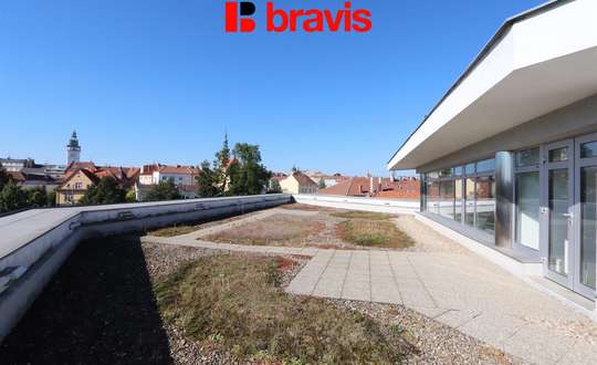 Rent, Commercial Offices, 30m² - Vyškov-Předměstí
