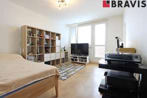 Pronájem bytu 1+1, ul. Loosova, Brno - Lesná, sklep, po rekonstrukci, zařízený