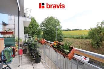 Property photos - 05668
