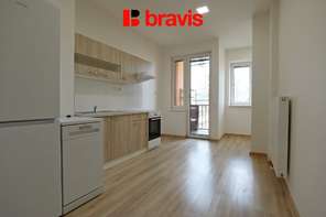 Rent flats 2+1 75 m², Brno - Veveří