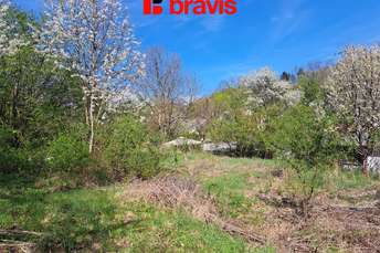 Fotografie nemovitosti č. 06671