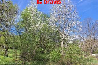 Fotografie nemovitosti č. 06671