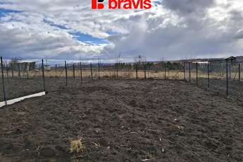 Fotografie nemovitosti č. 06696