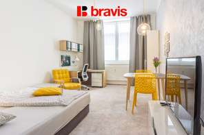 Pronájem bytu 1+1 30 m², Brno - Staré Brno, ulice Křížova - klidný vnitroblok v blízkosti Mendlova náměstí