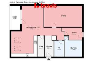 Pronájem bytu 3+kk, ul. Pavlovská, Brno - Kohoutovice, lodžie, zařízený