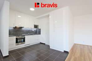 Pronájem bytu 1+kk, 53 m², Brno – Zábrdovice, ulice Francouzská