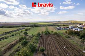 Prodej prostorného domu 5+1, Bořetice u Hustopečí, garáž, zahrada