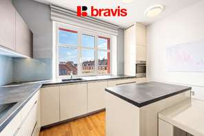 Prodej bytu 3+1, ulice Kotlářská, Brno - Veveří, krb, balkon, šatna, technická místnost, sklep, společný vnitroblok se zelení