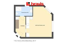 Pronájem zařízeného zrekonstruovaného bytu 1+kk, ulice Horova, Brno - Žabovřesky