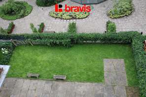 Pronájem bytu 2+kk, ul. Antonínská, Brno - Veveří, po rekonstrukci