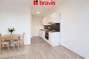 Prodej hezkého bytu 1+kk s balkónem 42m2, ul. Bělohorská, Brno - Židenice, parkování, sklep