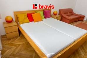 Pronájem bytu 1+1 30 m², Brno - Mendlovo náměstí, ulice Křížová