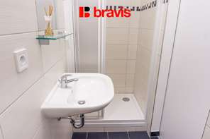 Pronájem bytu 1+1 30 m², Brno - Mendlovo náměstí, ulice Křížová