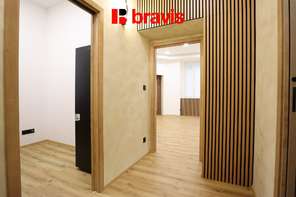 Pronájem bytu/atelieru 1+1, ulice Husovická, Brno - Husovice, po rekonstrukci, sklep