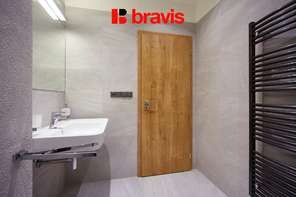 Apartment for rent 2+kk, Masarykova street, Brno - center, furnished, elevator, cloakroom, internet included