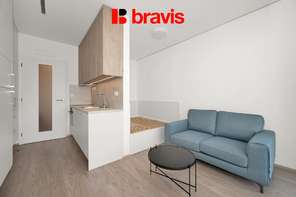 Pronájem zařízeného bytu 1+kk, Palác Trnitá, balkon, sklep, garážové stání