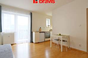 Pronájem bytu 1+kk, Brno - Zábrdovice, ulice Cejl, kompletně zařízený, klidná lokalita ve vnitrobloku, balkon, sklep