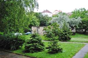 Pronájem bytu 1+1 na ulici Trýbova, Brno - Staré Brno, sklep, klidná lokalita pod hradem Špilberk