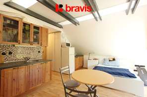 Rent of a 1-bedroom apartment with a sleeping alcove and excellent accessibility – Brno, Červený kopec street