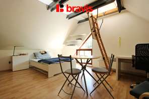 Rent of a 1-bedroom apartment with a sleeping alcove and excellent accessibility – Brno, Červený kopec street