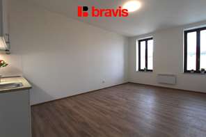 Pronájem bytu 1+kk, Brno - Zábrdovice, ul. Francouzská, výtah, parkování