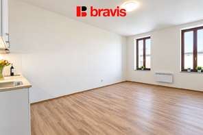Pronájem bytu 1+kk, Brno - Zábrdovice, ul. Francouzská, výtah, parkování