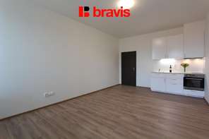 Pronájem bytu 1+kk, Brno - Zábrdovice, ul. Francouzská, výtah, parkování