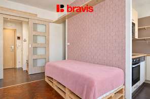 Pronájem bytu 1+kk, Brno - Veveří, ul. Zahradníkova, sklep, balkon