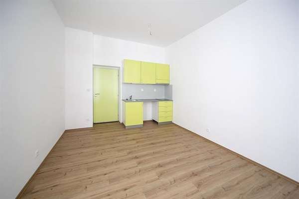 Pronájem velmi pěkného bytu 1+kk, Brno - Staré Brno, ul. Rybářská, nezařízený