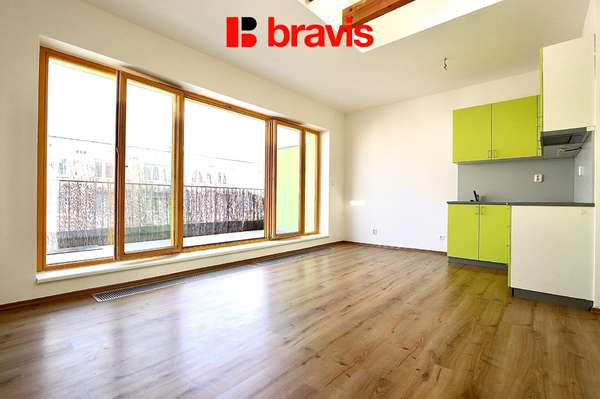 Pronájem velmi pěkného bytu 1+kk s terasou, Brno - Staré Brno, ul. Rybářská, nezařízený