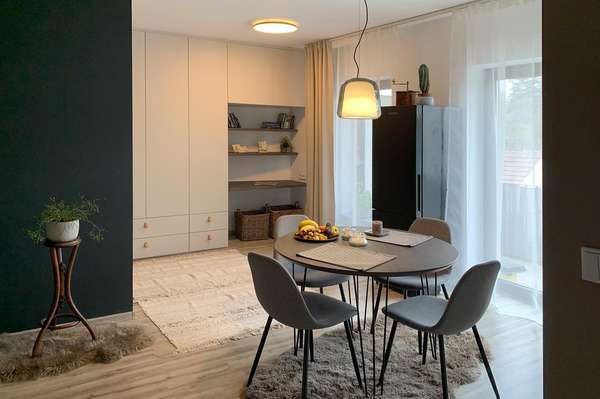 Pronájem bytu 2+kk, Brno - Husovice, Cacovická ulice, zařízený, balkon, sklep, parkování, klimatizace