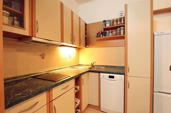 Podnájem bytu 1+1, Brno - Štýřice, ul. Renneská třída, částečně zařízený, blízko centra města