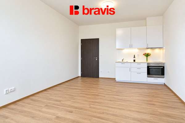 Pronájem bytu 1+kk, Brno - Zábrdovice, ul. Francouzská, výtah, parkování