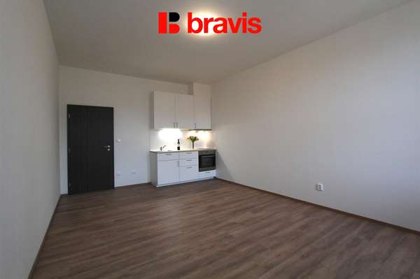 Pronájem bytu 1+kk, Brno - Zábrdovice, ul. Francouzská, výtah, parkování