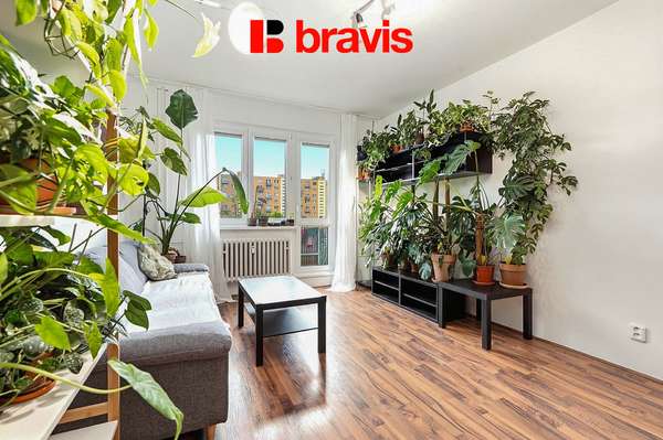Prodej bytu 2+1, 55 m² s balkonem a sklepem – Brno, ul. Pšeník