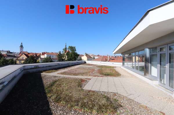 Rent, Commercial Offices, 30m² - Vyškov-Předměstí