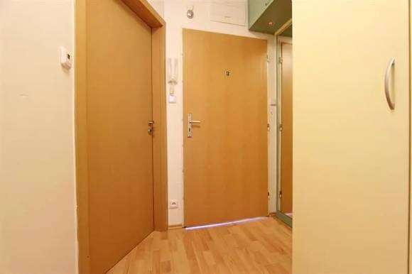 Pronájem slunného bytu 2+kk, ul. Cihlářská, Brno-střed-Veveří, 54 m2, terasa, částečně zařízený, výtah