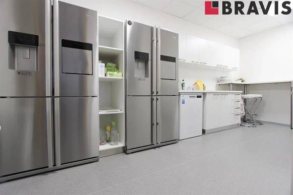 Pronájem nezařízených reprezentativních kancelářských prostor, 259,1  m<sup>2</sup>, Brno - Slatina, ul. Hviezdoslavova, 2x kuchyňka, 2x sociální zázemí se sprchou, 4x parkování + PŘÍRUČNÍ SKLAD 106,14  m<sup>2</sup> V CENĚ