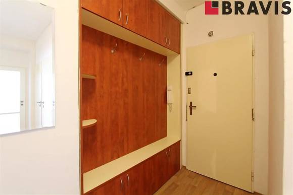 Podnájem bytu 2+1, ulice Bayerova, Brno - Veveří, částečně zařízený, sklep, internet