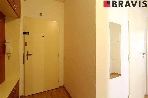 Podnájem bytu 2+1, ulice Bayerova, Brno - Veveří, částečně zařízený, sklep, internet