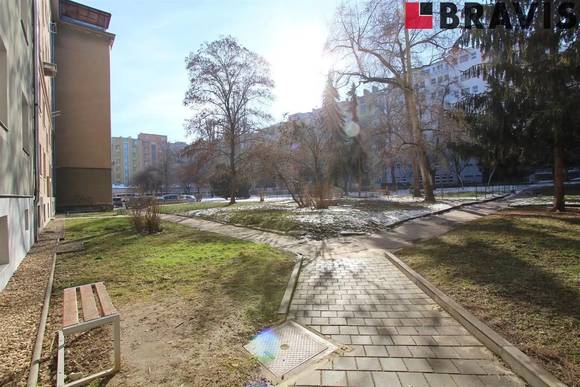 Podnájem bytu 2+1, ulice Bayerova, Brno - Veveří, částečně zařízený, sklep, internet