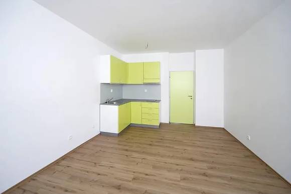 Pronájem velmi pěkného bytu 1+kk, Brno - Staré Brno, ul. Rybářská, nezařízený