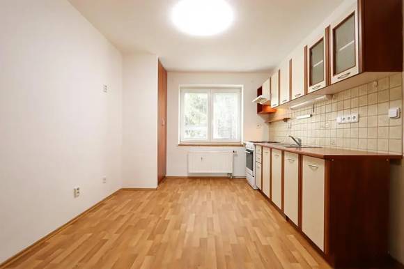 Pronájem bytu 2+1, Brno - Královo Pole, ul. Purkyňova, balkon, sklep, zahrada
