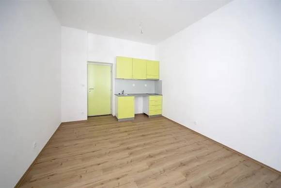 Pronájem velmi pěkného bytu 1+kk, Brno - Staré Brno, ul. Rybářská, nezařízený